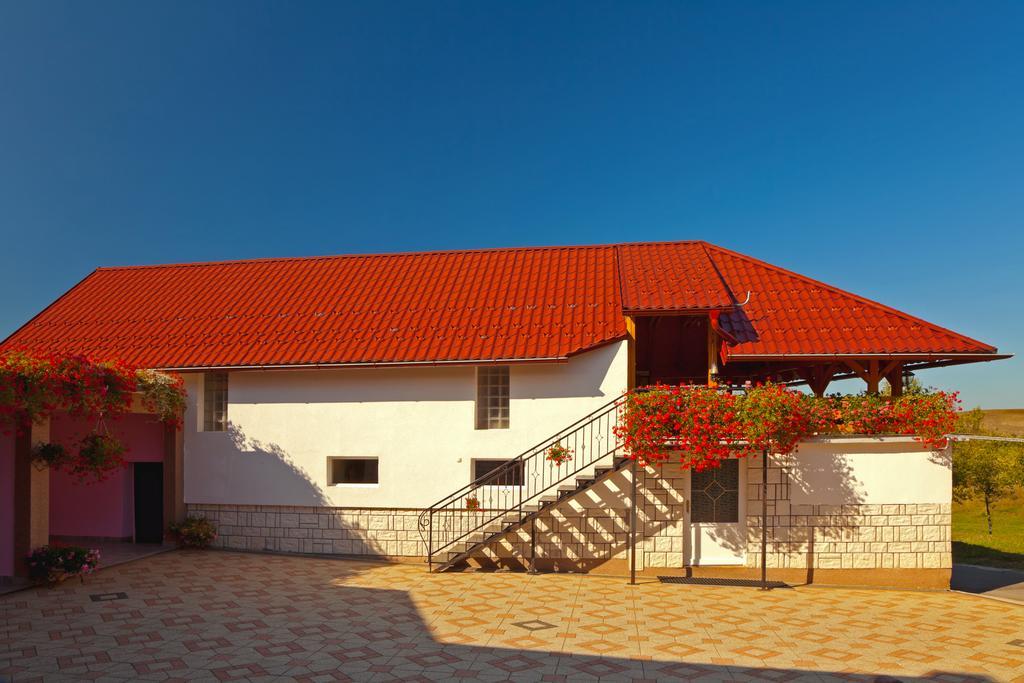 Apartment Jakovljevic Gornji Vaganac Camera foto