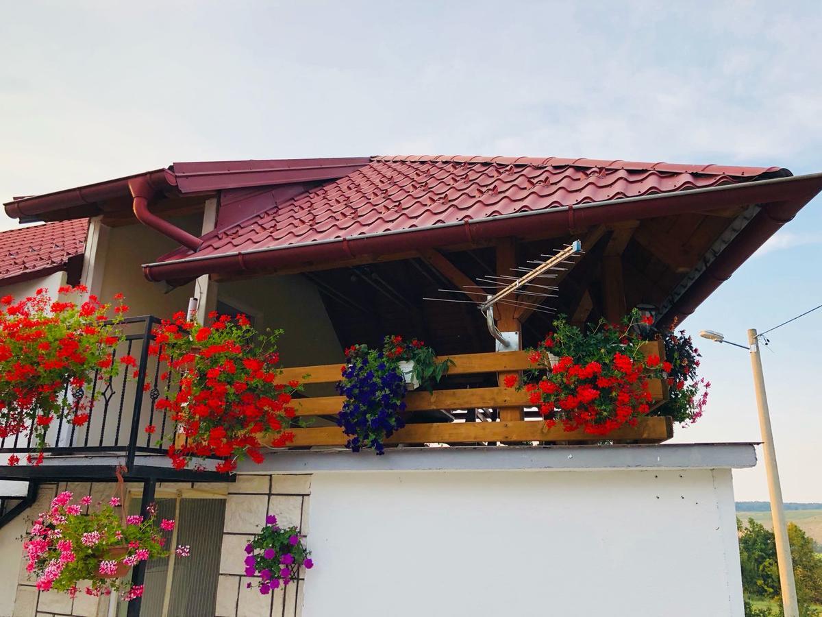 Apartment Jakovljevic Gornji Vaganac Esterno foto